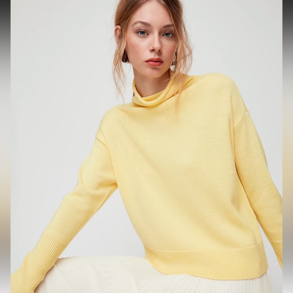 Aritzia Wilfred Cyprie Sweater